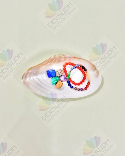 Mother of Pearl Shell (Premium, Polished)