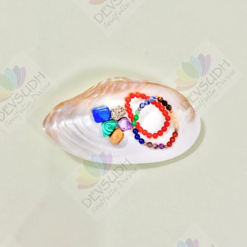 Mother of Pearl Shell (Premium, Polished)