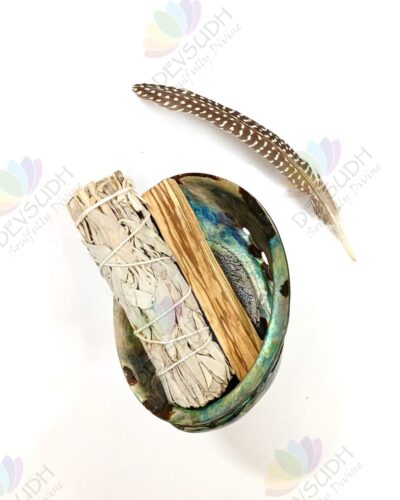 Abalone shell | New Zealand Pāua shell (AAA grade, Polished)