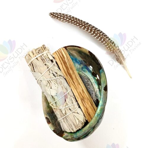 Abalone shell | New Zealand Pāua shell (AAA grade, Polished)