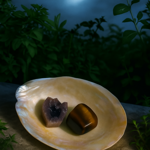 Mother of Pearl Shell (Premium, Polished)