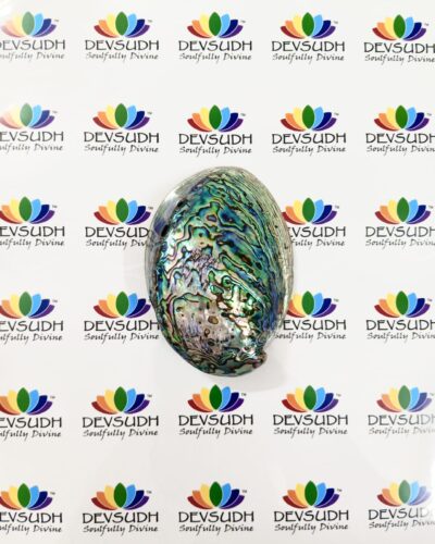 Abalone shell | New Zealand Pāua shell (AAA grade, Polished)