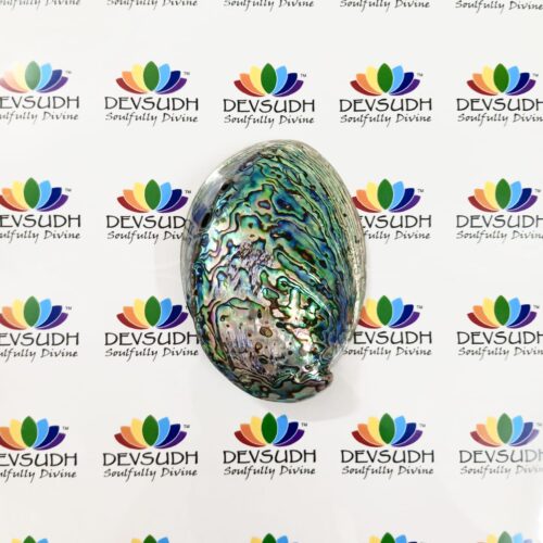 Abalone shell | New Zealand Pāua shell (AAA grade, Polished)