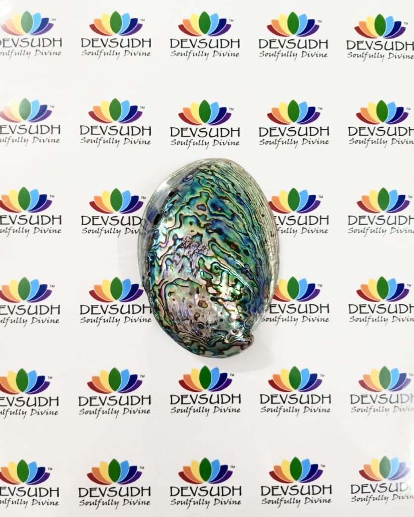 Abalone shell | New Zealand Pāua shell (AAA grade, Polished) – DEVSUDH