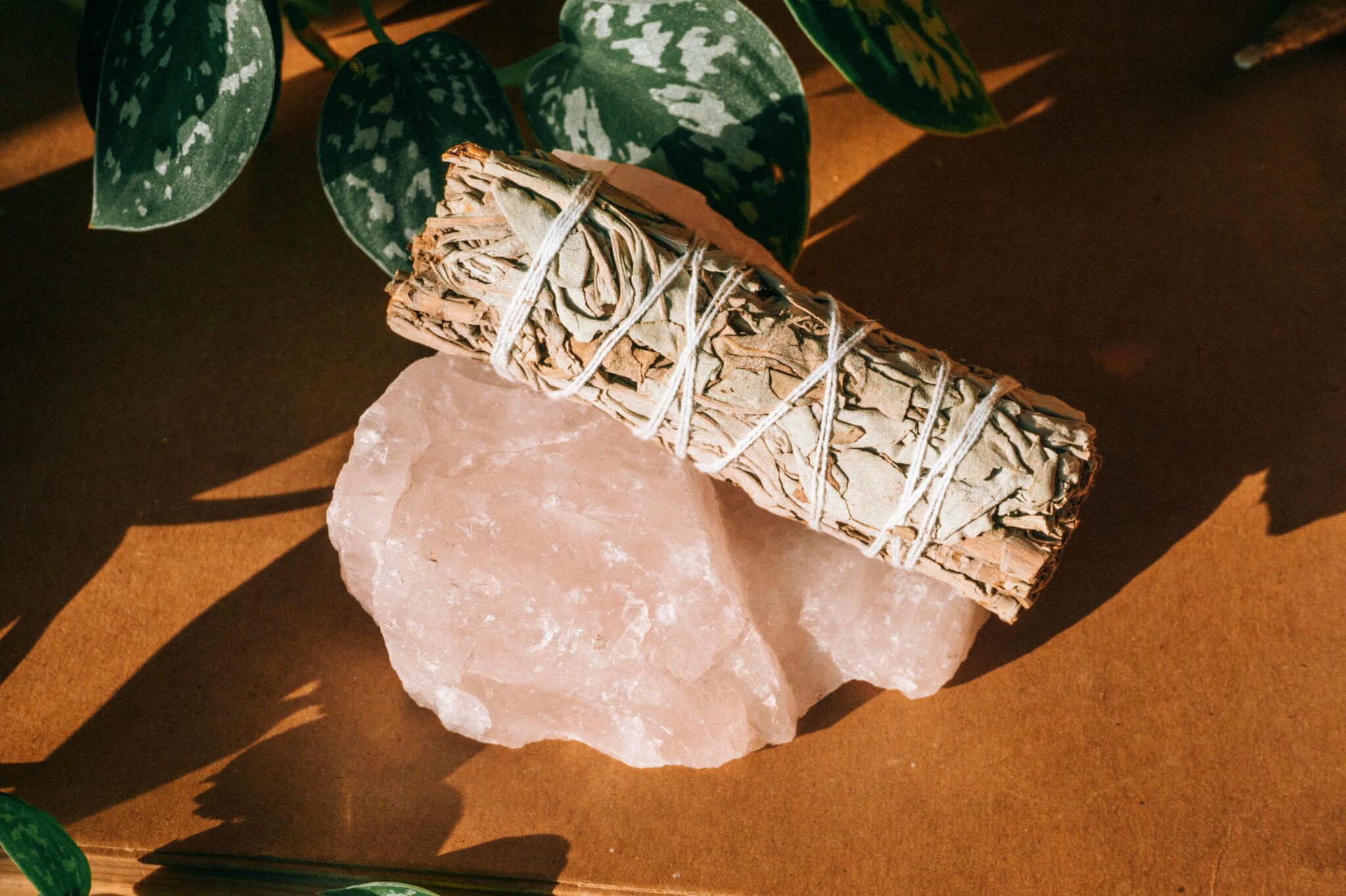 pexels-monstera-12126355 Dragon’s Blood (Red) Sage Smudge Stick