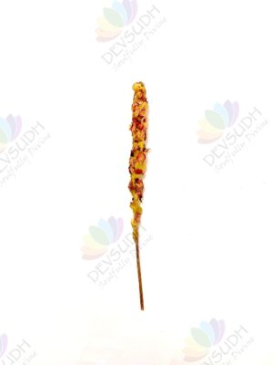Mullein Torch/ Witch's Candle/ Hag's Taper (Rose, 6"-8")