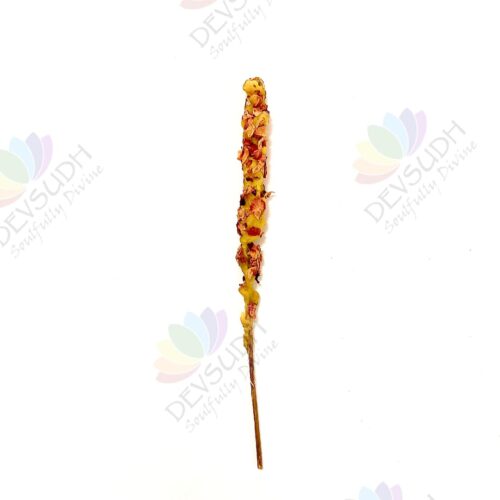 Mullein Torch/ Witch's Candle/ Hag's Taper (Rose, 6"-8")