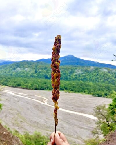 Mullein Torch/ Witch's Candle/ Hag's Taper (Rose, 6"-8")
