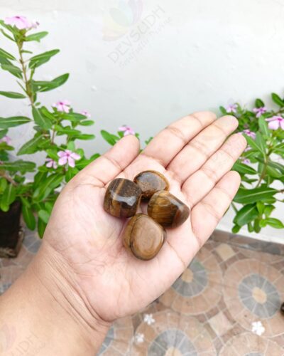 Tiger's Eye (Tumble)