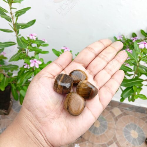 Tiger's Eye (Tumble)