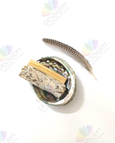 Pink Abalone shell | Mexican Abalone shell (Premium)