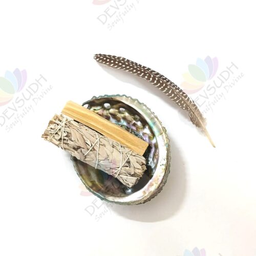 Pink Abalone shell | Mexican Abalone shell (Premium)