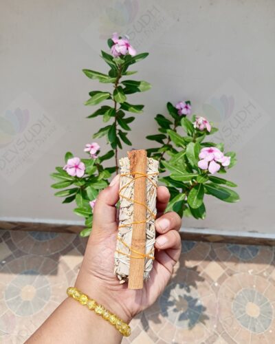 California White Sage with Cinnamon Smudge Stick