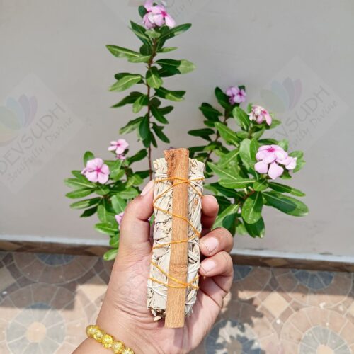 California White Sage with Cinnamon Smudge Stick