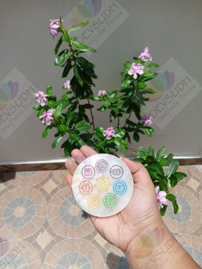 Selenite Plate (3″ Round shaped) - 7 CHAKRA