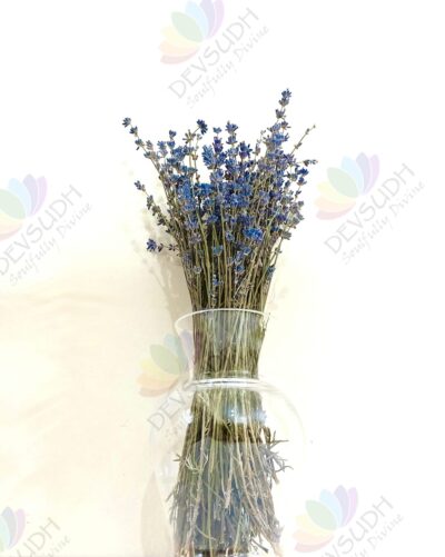 Kashmiri Lavender Bunch (Lavender Luxe)