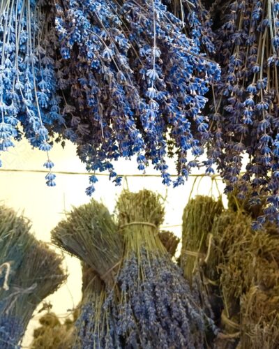 Kashmiri Lavender Bunch (Lavender Luxe)