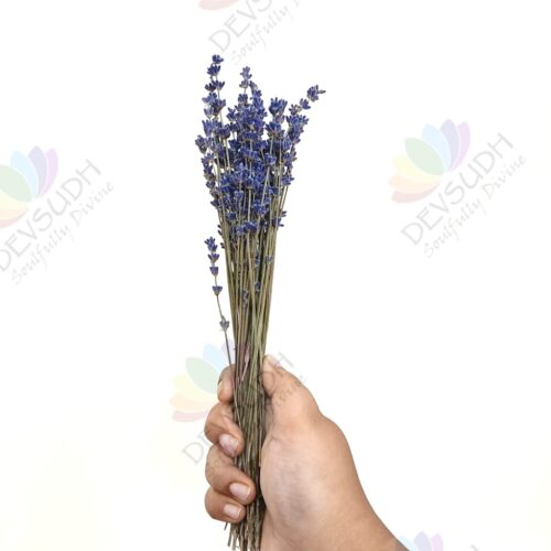 Kashmiri Lavender Bunch - 60 stems, 12"- 13" length (Lavender Petite)