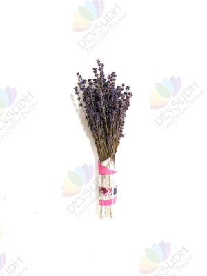 Kashmiri Lavender Bouquet - 80 stems, 8"- 10" length (Lavender d'Amour) - A thoughtful gift for loved ones