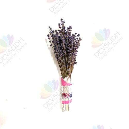 Kashmiri Lavender Bouquet - 80 stems, 8"- 10" length (Lavender d'Amour) - A thoughtful gift for loved ones