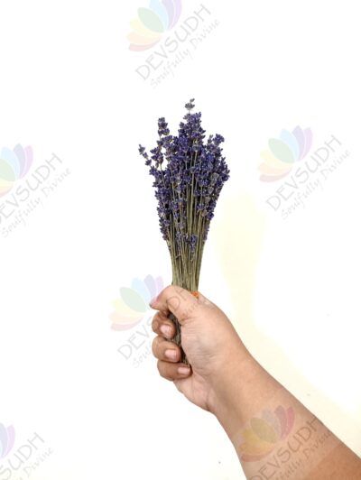 Kashmiri Lavender Bouquet - 80 stems, 8"- 10" length (Lavender d'Amour) - A thoughtful gift for loved ones