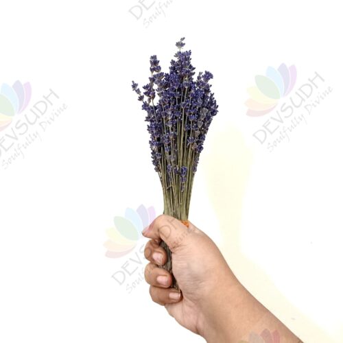 Kashmiri Lavender Bouquet - 80 stems, 8"- 10" length (Lavender d'Amour) - A thoughtful gift for loved ones