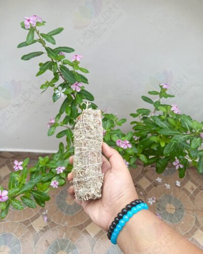 White Sage with Santolina Smudge Stick