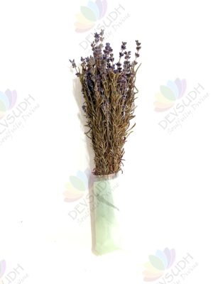 Kashmiri Lavender Rosemary Bunch - 110 stems, 11"- 13" length (Lavender Rosemary Signature)