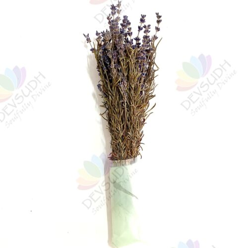 Kashmiri Lavender Rosemary Bunch - 110 stems, 11"- 13" length (Lavender Rosemary Signature)