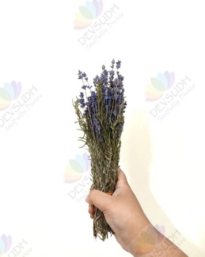 Kashmiri Lavender Rosemary Bunch - 110 stems, 11"- 13" length (Lavender Rosemary Signature)
