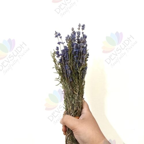 Kashmiri Lavender Rosemary Bunch - 110 stems, 11"- 13" length (Lavender Rosemary Signature)