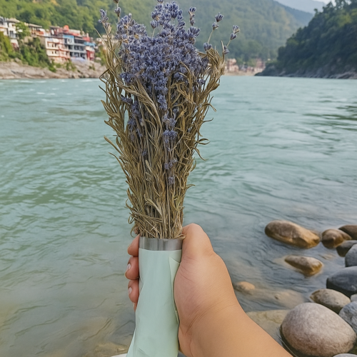 Kashmiri Lavender Rosemary Bunch - 110 stems, 11"- 13" length (Lavender Rosemary Signature)