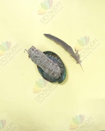 White Sage with Santolina Smudge Stick