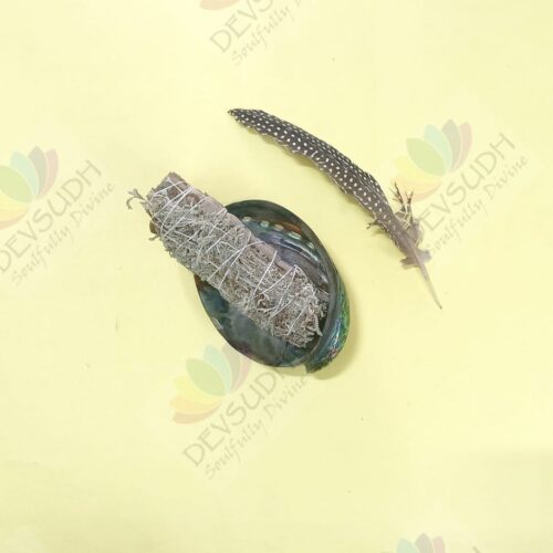 White Sage with Santolina Smudge Stick